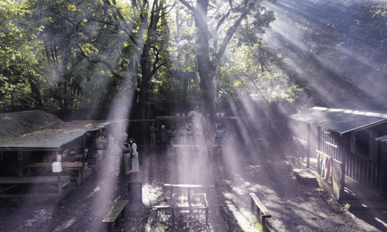 Screenshot 2025 09 04 at 13.23.52 768x460